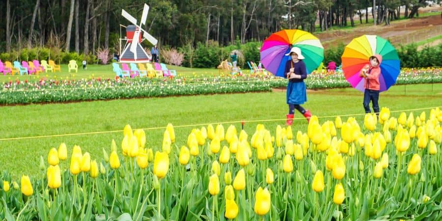 What's On School Holidays