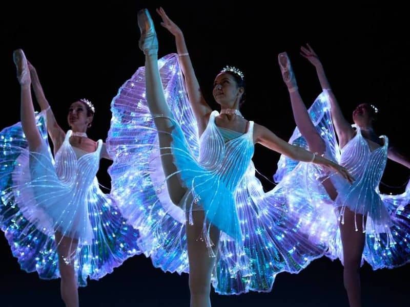 Ballet of Lights Sleeping Beauty