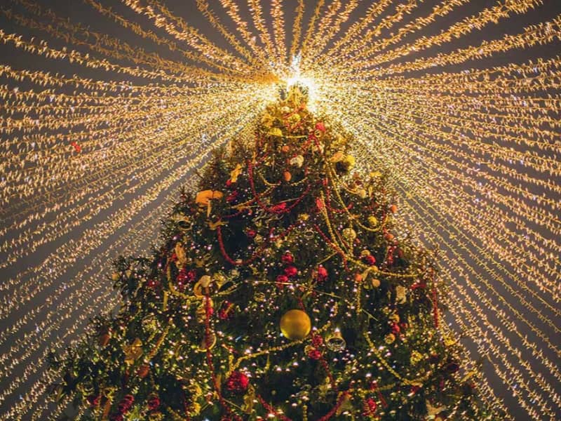 Melbourne Christmas Wonderland 2025