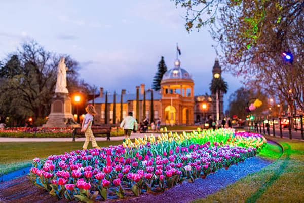 Rows of yellow, pink and white tulips glow under coloured uplighting in the foreground, with visitors photographing the display and a heritage building lit up behind them at dusk. String lights and glowing orbs hang from trees on the right, with city ligh
