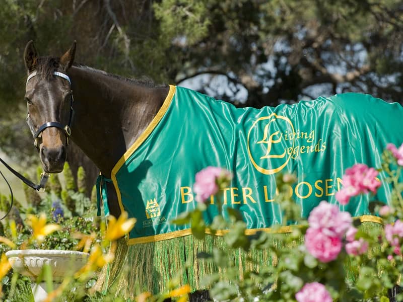 Living Legends Racehorse Retreat