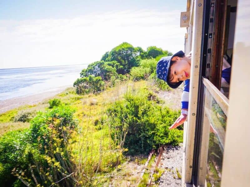 Boy hanging out the window of a train smiling