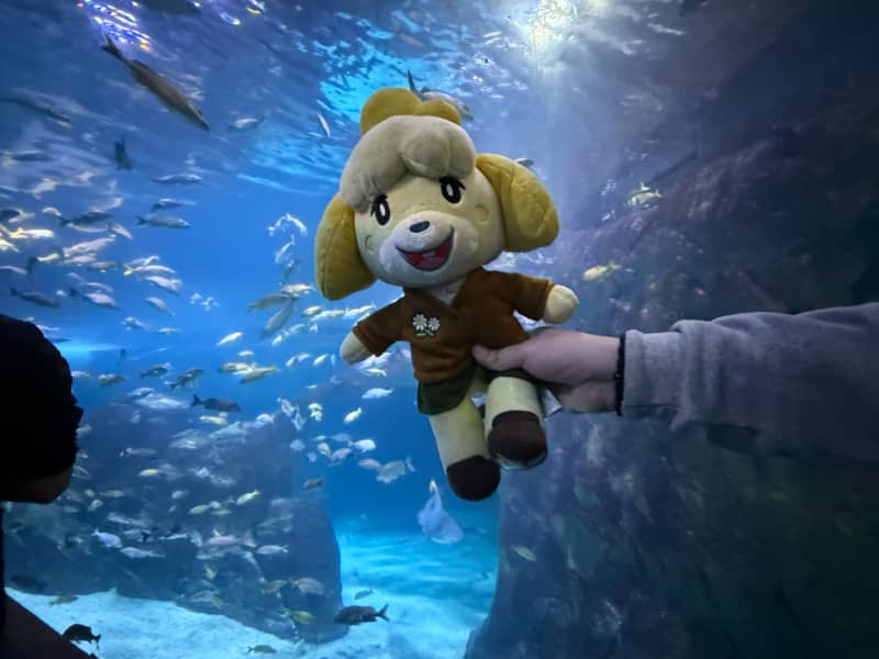 Animal Crossing New Horizons SEA LIFE Melbourne Aquarium
