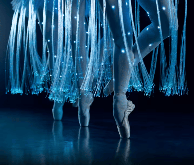 Ballet of Lights Sleeping Beauty