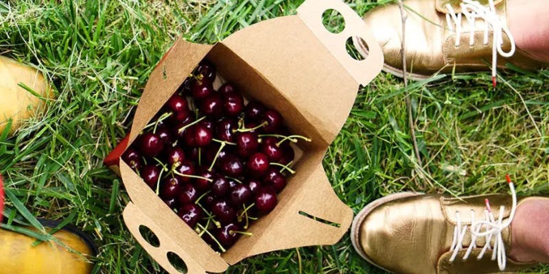 Cherry Picking Melbourne