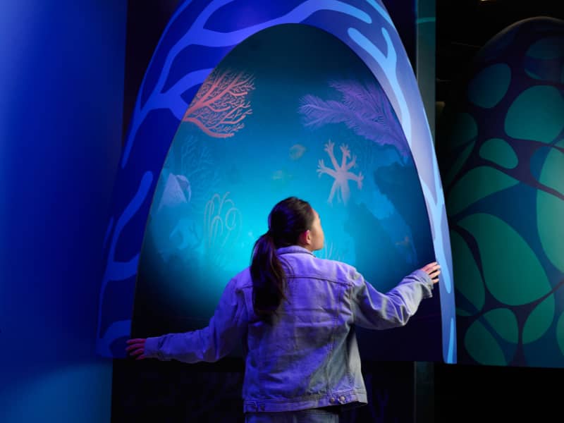 Our Wondrous Planet Exhibition Melbourne Museum