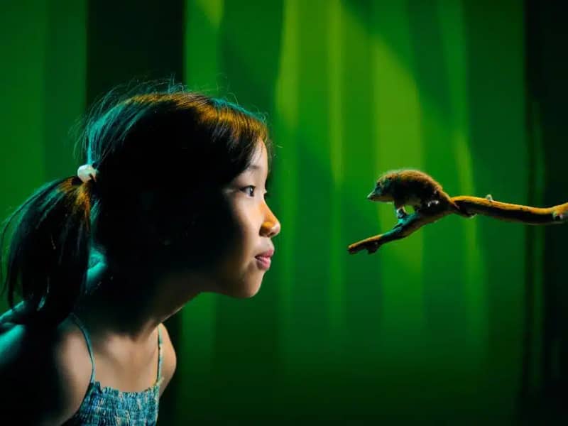 Our Wondrous Planet Exhibition Melbourne Museum