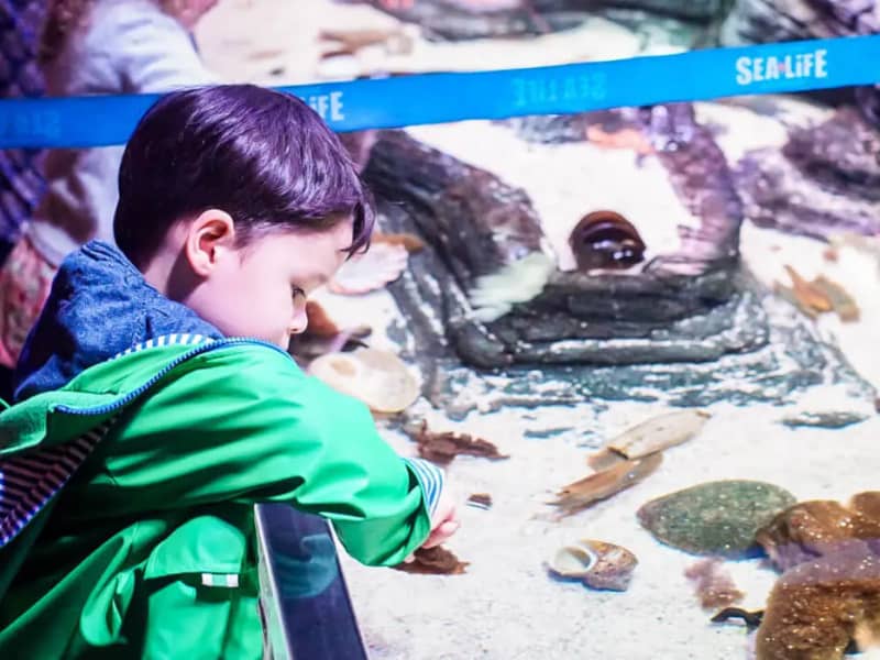 SEA LIFE Melbourne Aquarium