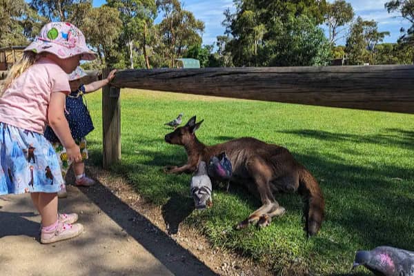Ballarat Wildlife Park