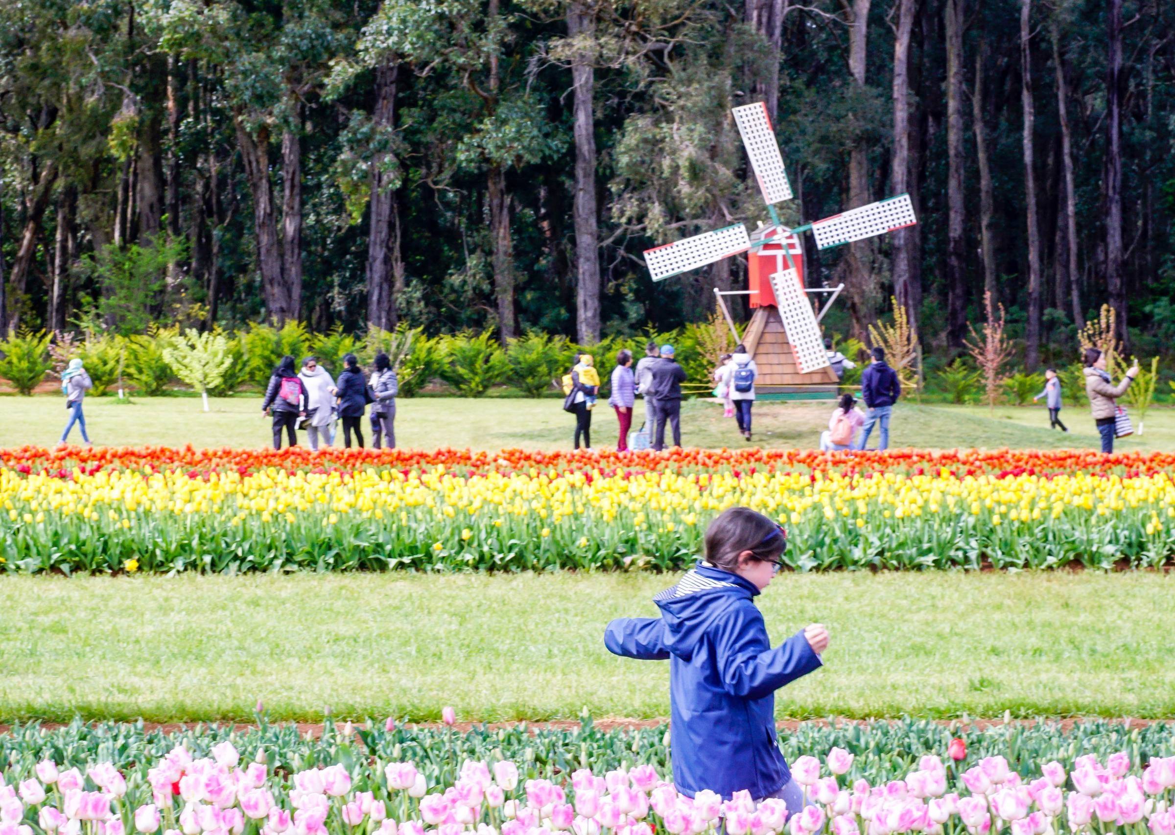 spring school holiday guide