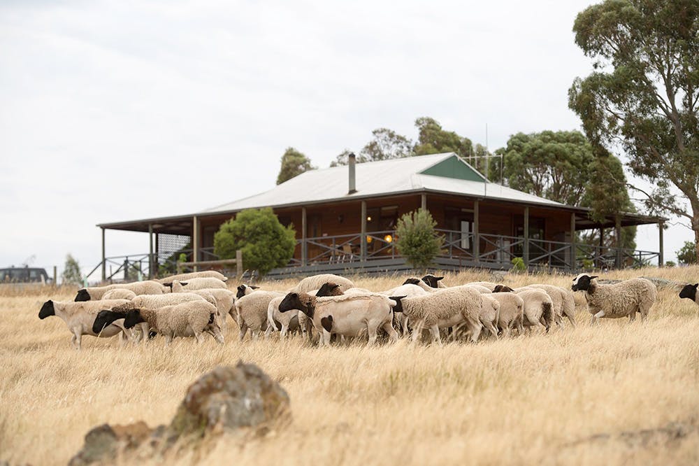 Farm Stay Victoria