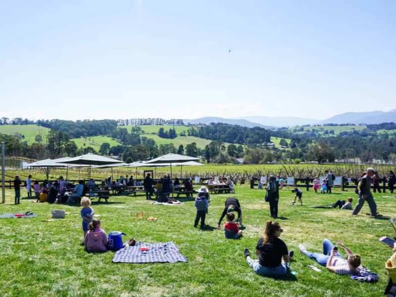 CherryHill Orchards Blossom Festival