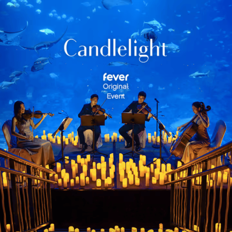 Candlelight Concerts at Sea Life Melbourne Aquarium