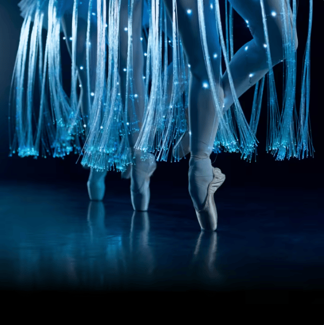 Ballet of Lights Sleeping Beauty