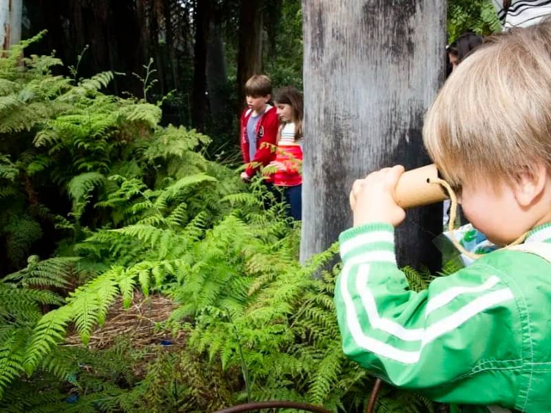 Melbourne Museum School Holiday Program for Summer 2024 - 2025