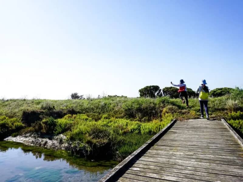 Bush walks Melbourne