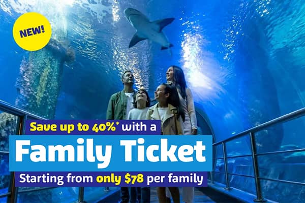 A family of four stand in an underwater viewing tunnel at SEA LIFE Melbourne Aquarium, looking up at a shark swimming overhead. Text overlay reads "NEW! Save up to 40% with a Family Ticket, starting from only $78 per family."