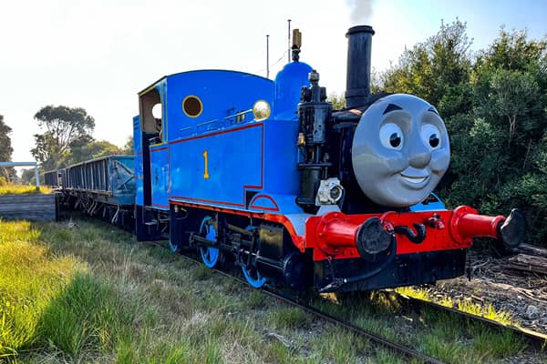 Thomas the Tank Engine, a blue steam train with a cartoon face, pulling carriages along a grassy heritage railway line.
