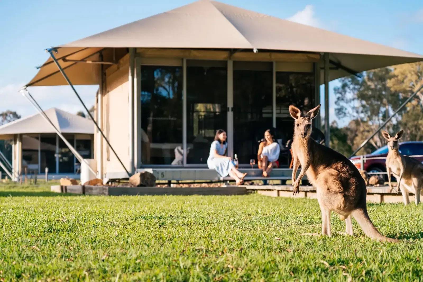 ParkBooker kangaroo glamping 