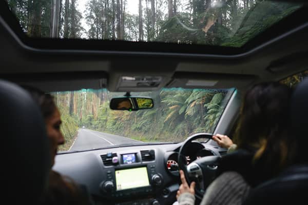View from the back seat of a car, looking through the windscreen and open sunroof at a two-lane road curving through a lush, fern-lined forest. A young driver has both hands on the wheel, with a passenger seated beside them and the rearview mirror reflecting the road ahead.