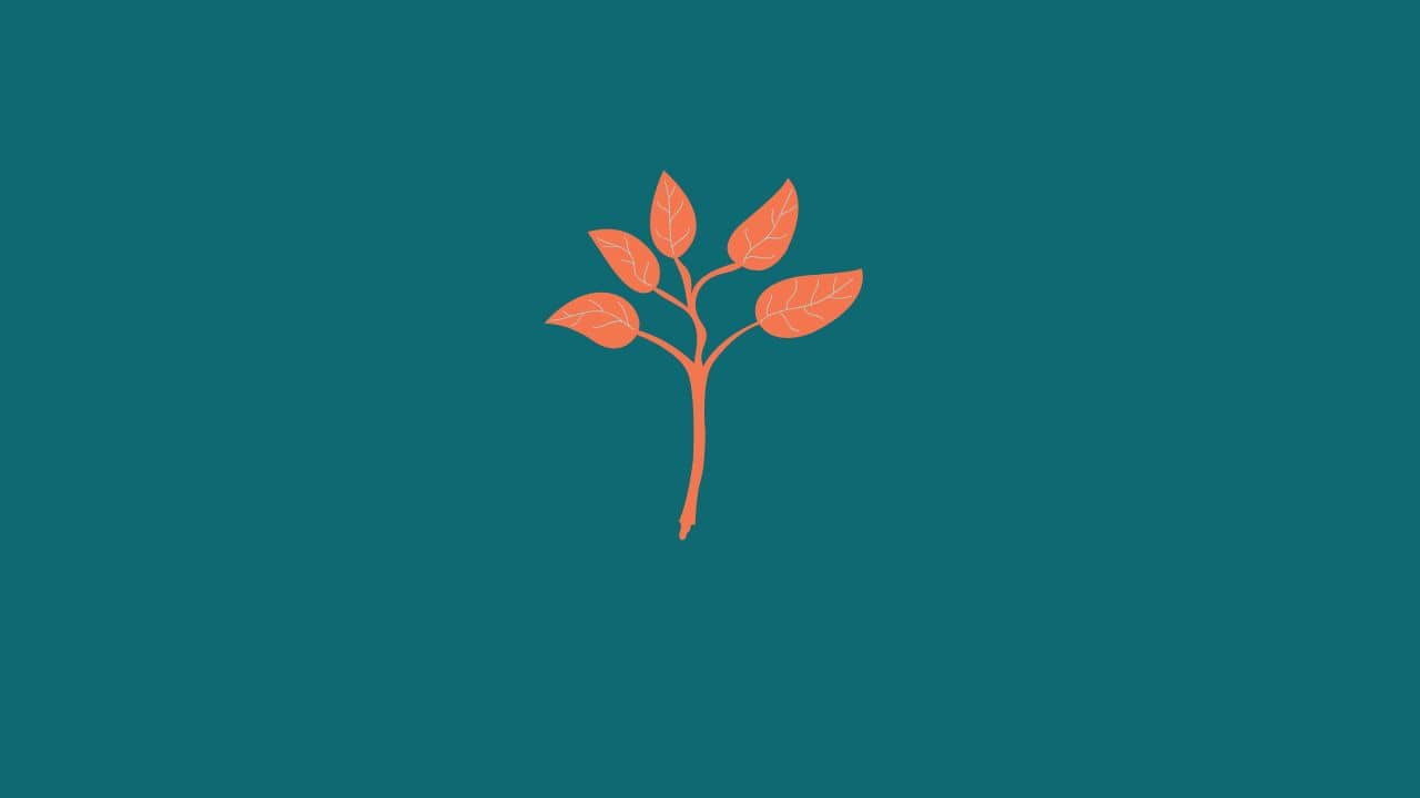 A teal background with an orange branch and leaves