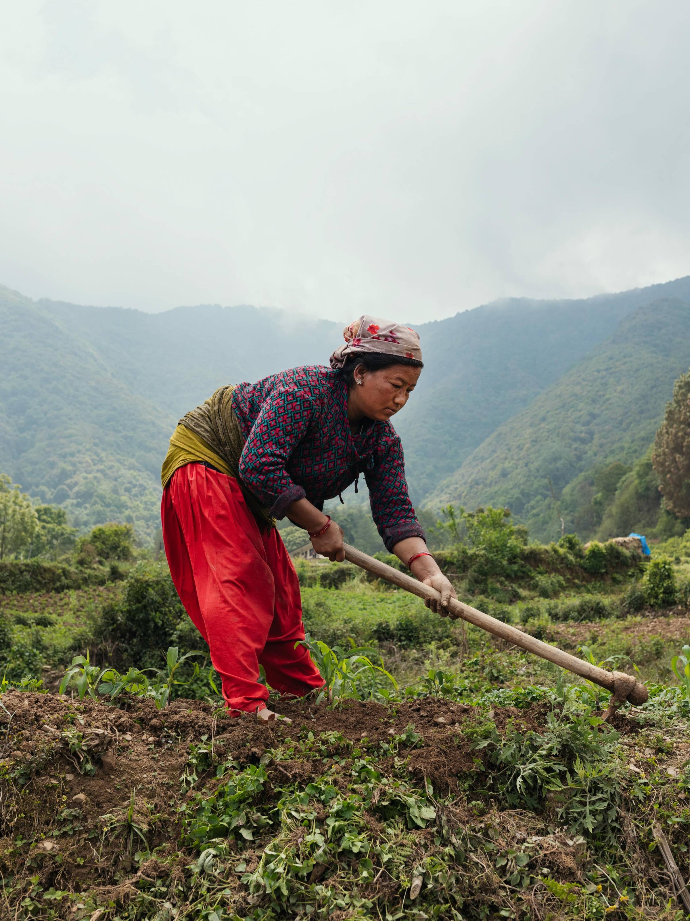 Nepal, your lands introduced me to your people, and your people deeply moved my heart.

Spending those months wandering through your mountains reminded me, again and again, of everything I love about the profession I chose.

Being away for so long is never easy. I have to admit, arriving in these lands was both physically and mentally challenging. But step by step, encounter after encounter, my heart slowly began to open. And somewhere along the way, those quiet conversations with light returned... the moments where I could truly pause, observe, and photograph the people I met along the journey.

Today, I look back on those days with gratitude. I return to them like one returns to a beautiful memory.
And here, I share a small fragment of everything my eyes witnessed.

#Nepal #DocumentaryPhotography
#WomenEmpowerment #FemaleTrekkingGuides #canondeutschland