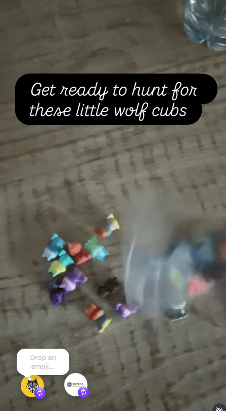 watch the wolf hunt reel