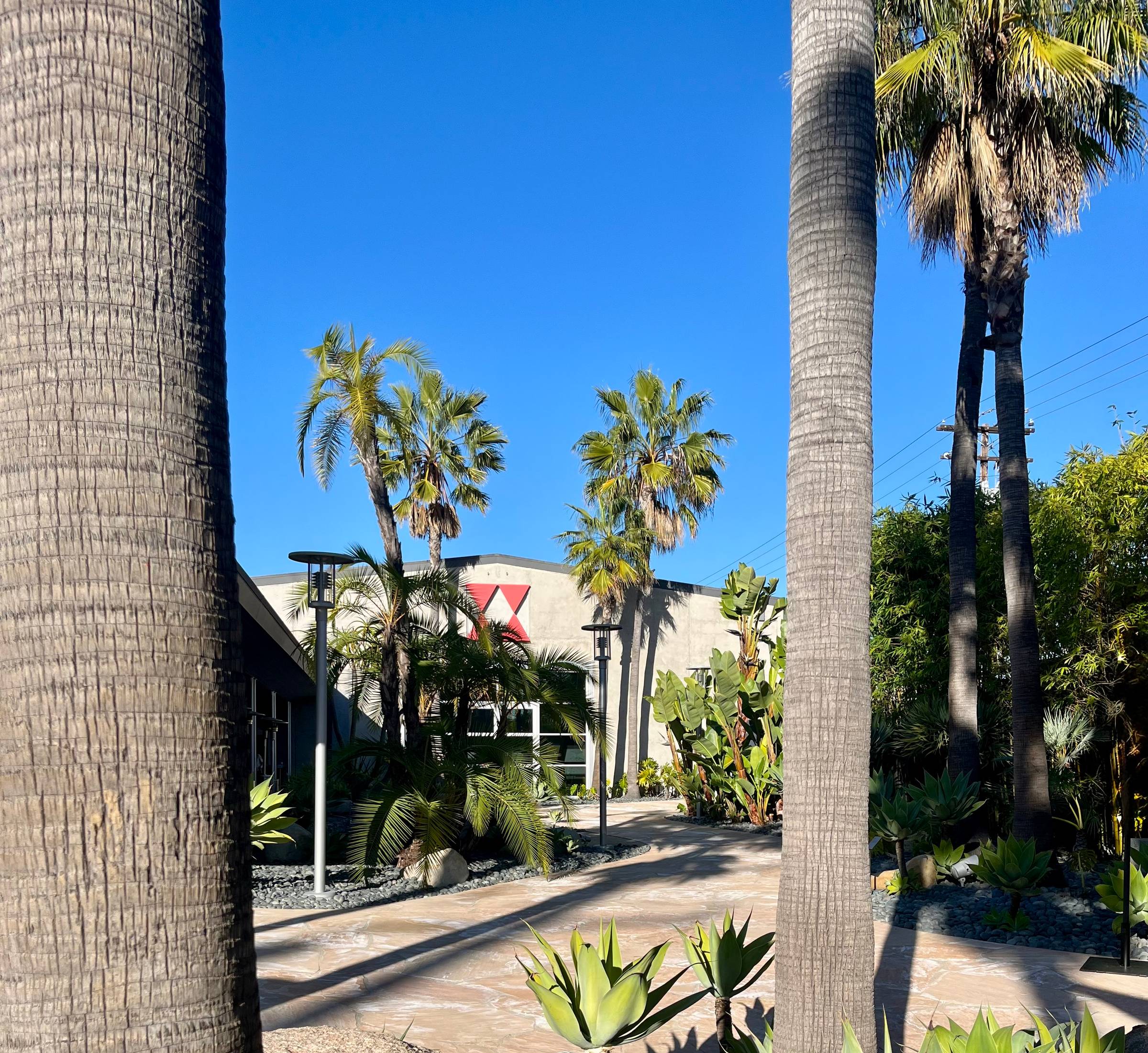 View of Wende from the garden