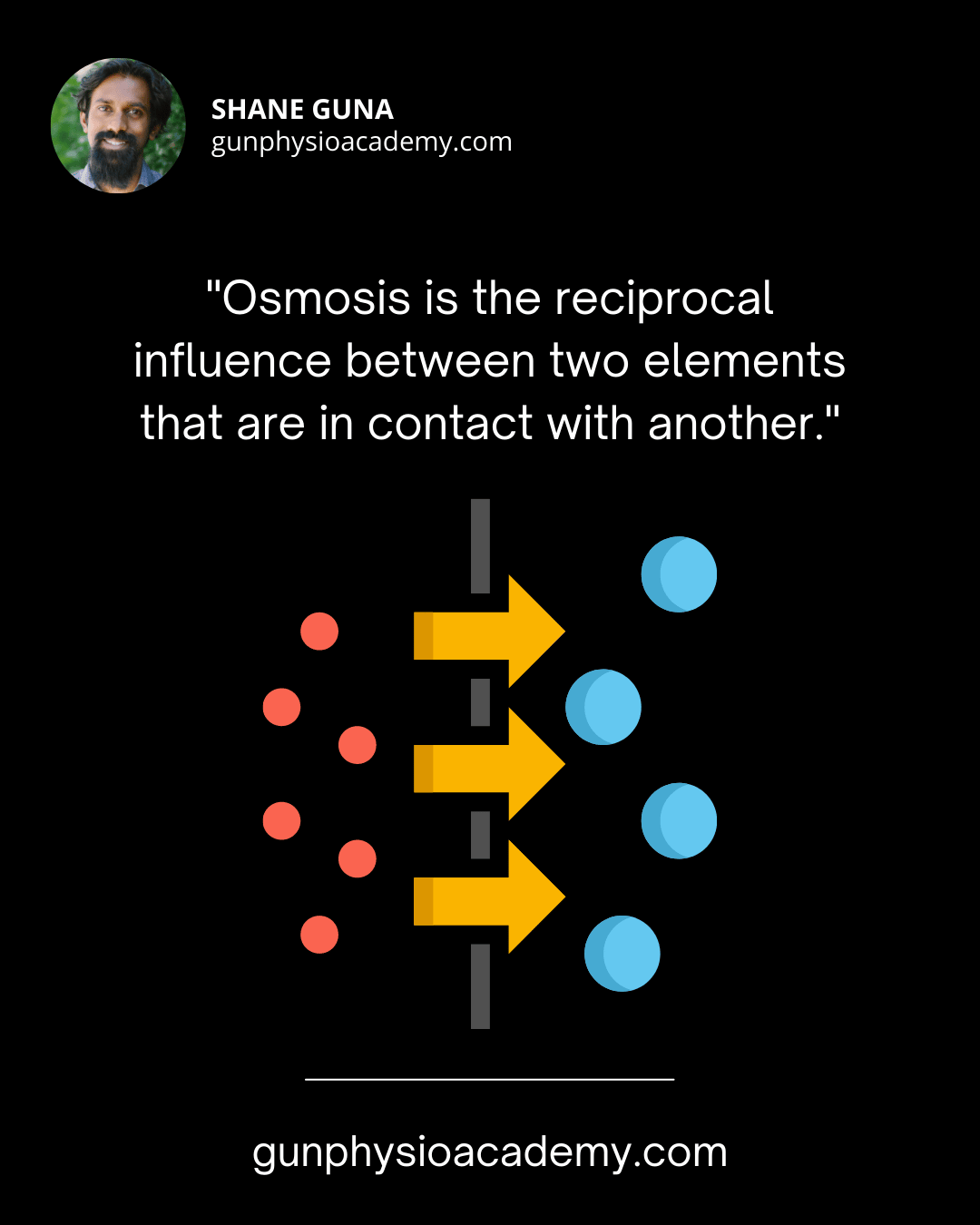 Osmosis