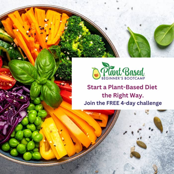 Promo for the Plant-Based Beginners Bootcamp.