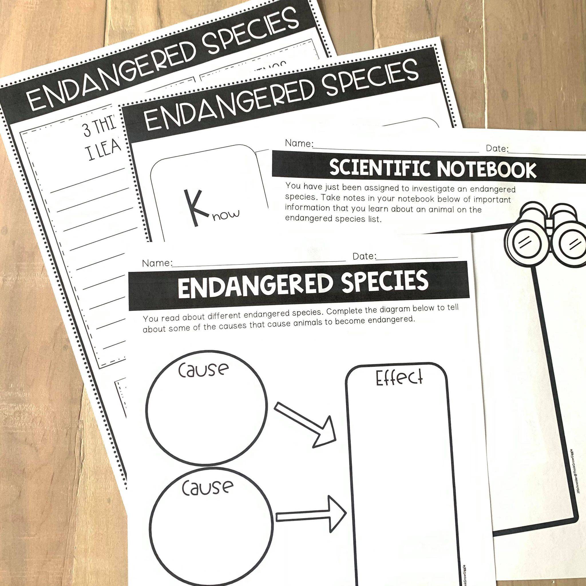 Endangered Species Research project- graphic organizers- DIGITAL!