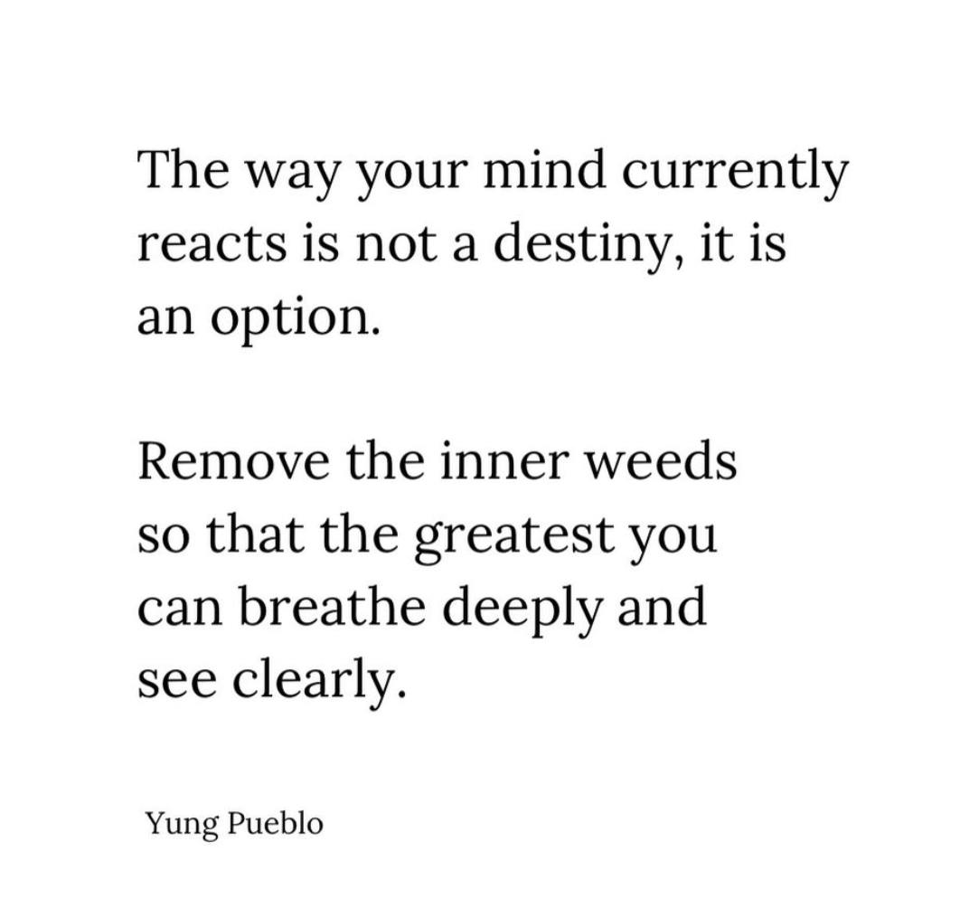 The way your mind currently reacts is not a destiny, it is an option. Remove the inner weeds so that the greatest you can breathe deeply and see clearly. 