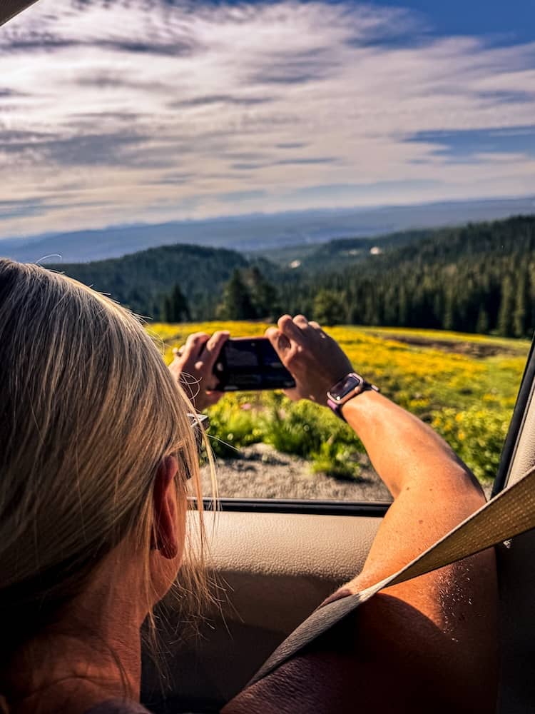 Woman taking a photo through a car window of wildflowers and forested mountain views in Yellowstone National Park.