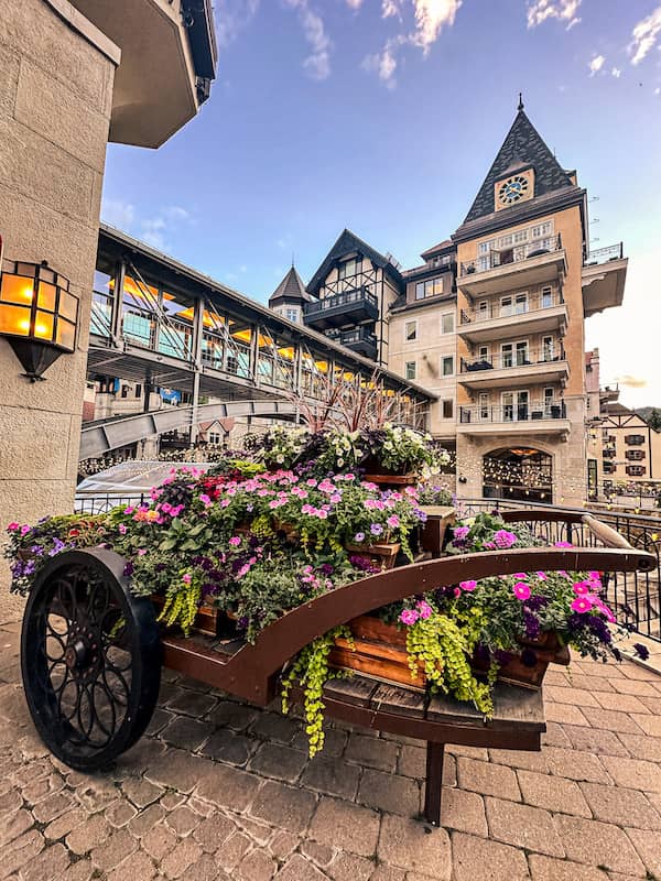 Flower-filled cart in Lionshead Village in Vail, Colorado, with charming alpine-style architecture and a pedestrian bridge in the background on a summer evening