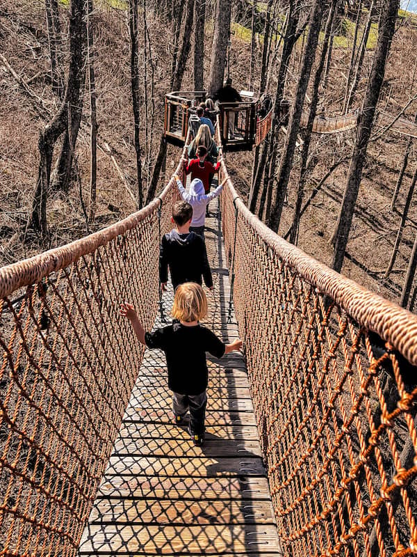 Children crossing a suspended rope bridge on the Treetop Skywalk at Anakeesta in Gatlinburg, Tennessee.