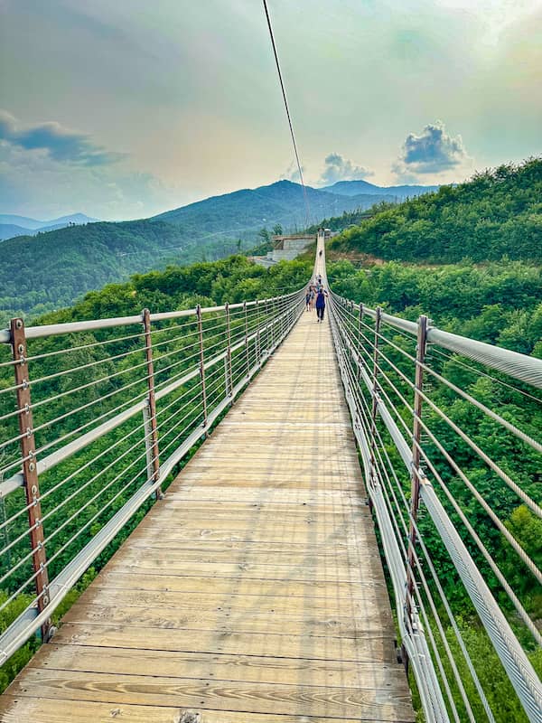 View looking across the Gatlinburg SkyBridge that is surrounded by mountains and forests.