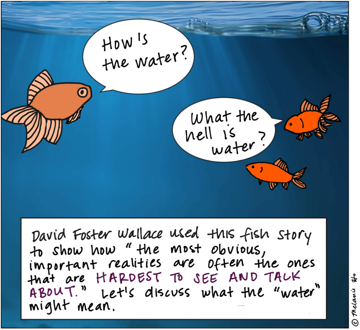 Comic: big fish asks "how's the water" and little fish asks "What is water?"