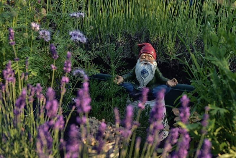 garden gnome in meditation post surrounded by green  & purple flowers