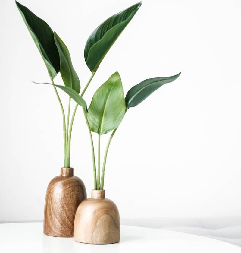 green plant on brown wooden vase