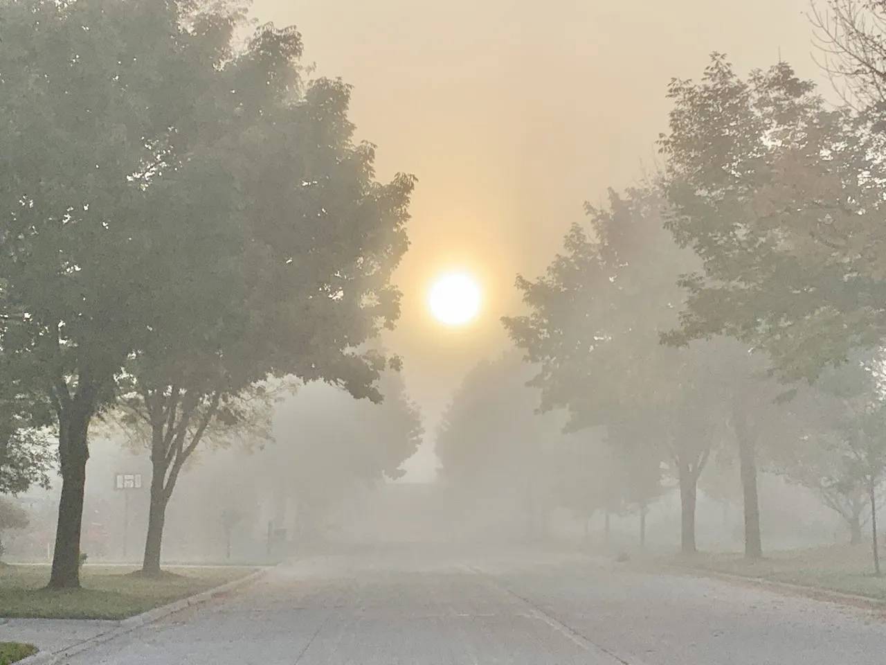 Sunlight breaking through morning fog on a quiet path, symbolizing clarity and a forward step.