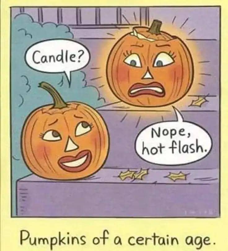 Humorous Halloween cartoon titled “Pumpkins of a Certain Age” featuring two female pumpkins. One glowing pumpkin looks startled as the other asks, “Candle?” She replies, “Nope, hot flash.” A playful nod to menopause and the unexpected hot flashes women ex