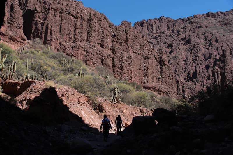 Hikers walking through a rocky canyon with cacti.