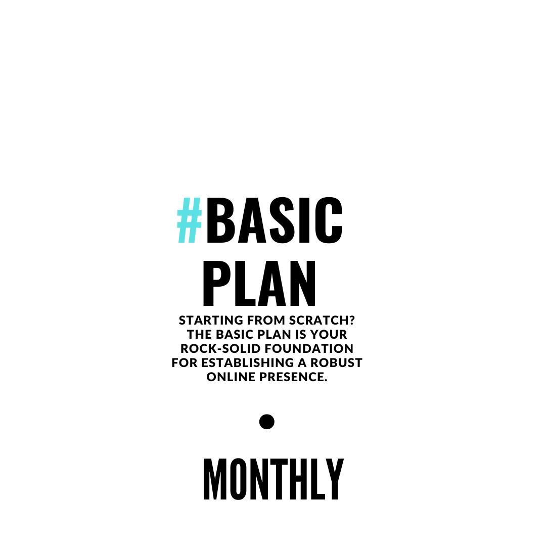 Social Media Basic Plan 