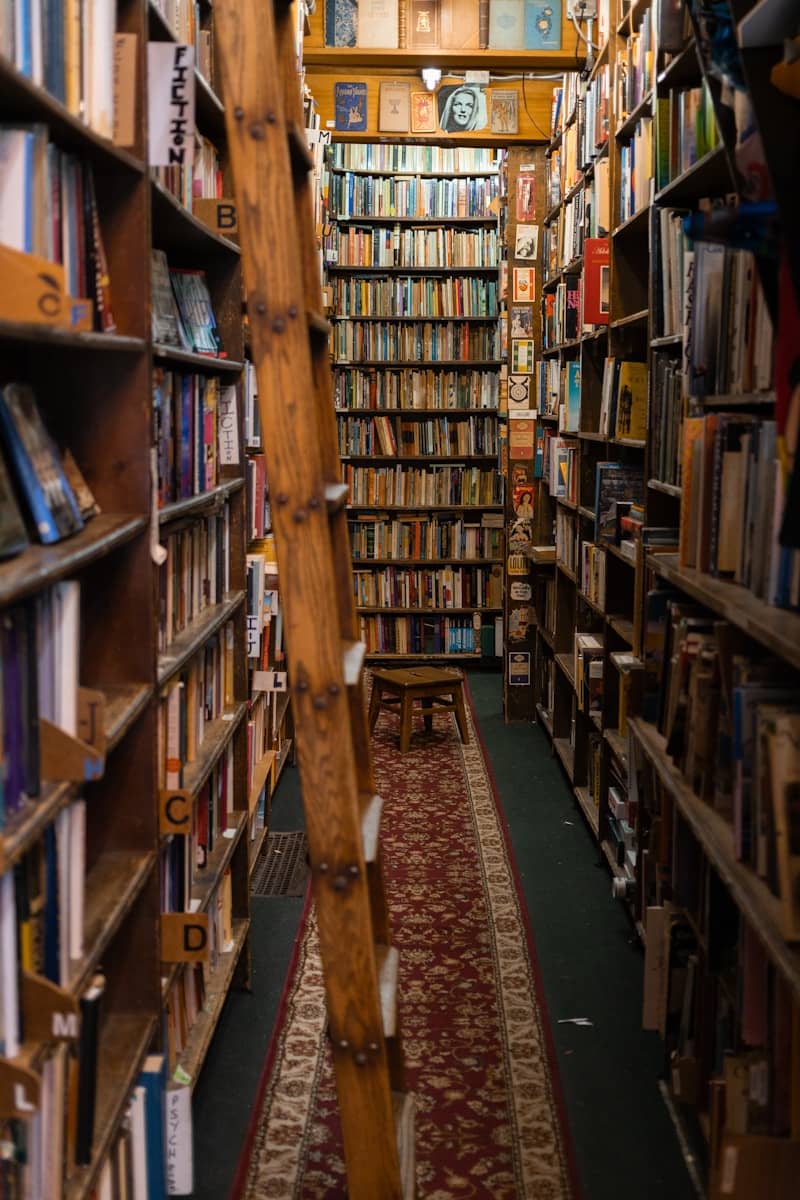 Bookstore interior filled with shelves and a ladder.