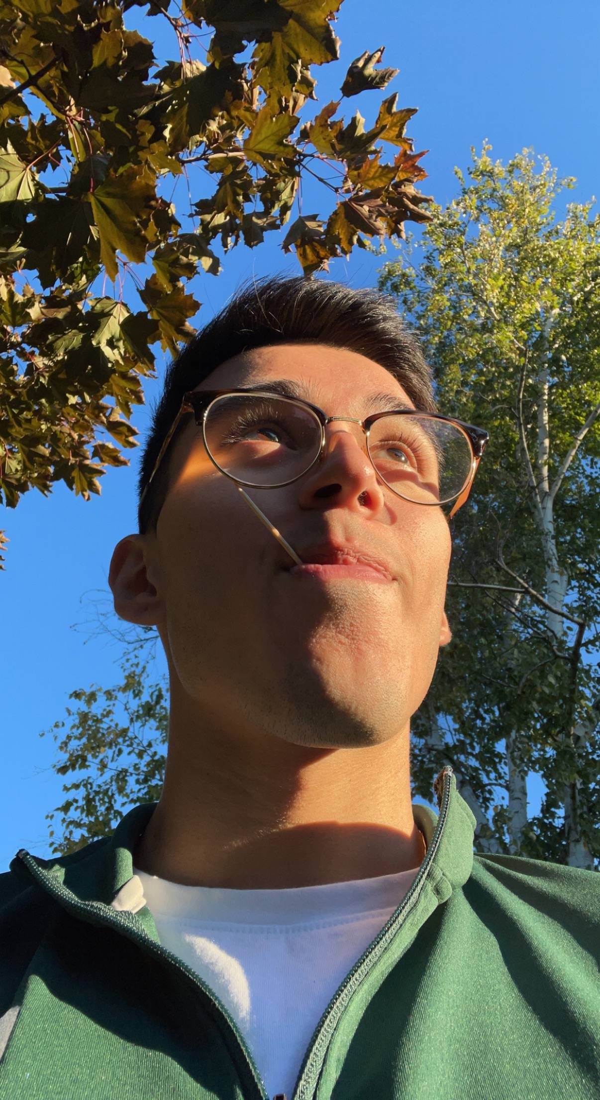 profile