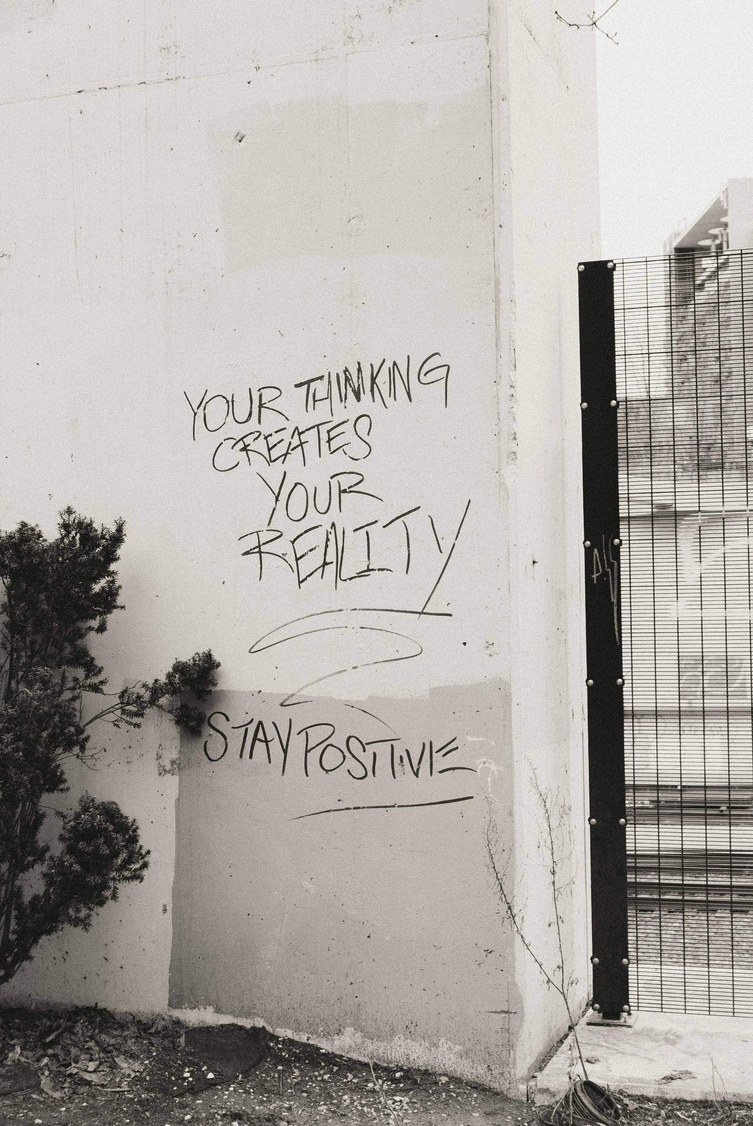 Graffiti on a concrete wall reads 'Your thinking creates your reality. Stay positive.' Black and white photo with a small bush in the foreground and a metal fence on the right.
