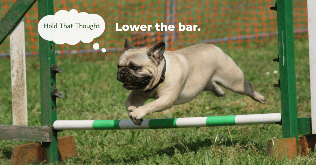 A pudgy Frenchie is mid-leap over a green hurdle. Text reads: Lower the bar.