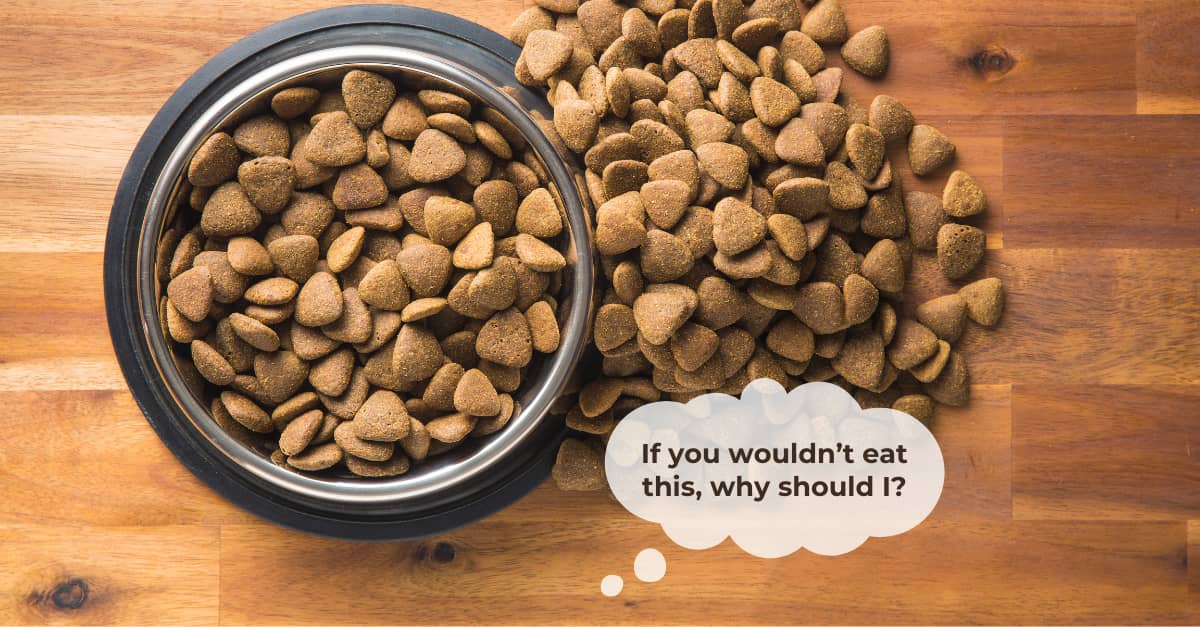 Top-down view of a bowl of dog kibble on hardwood floor. THought bubble reads "If you wouldn't eat this, why should I?"