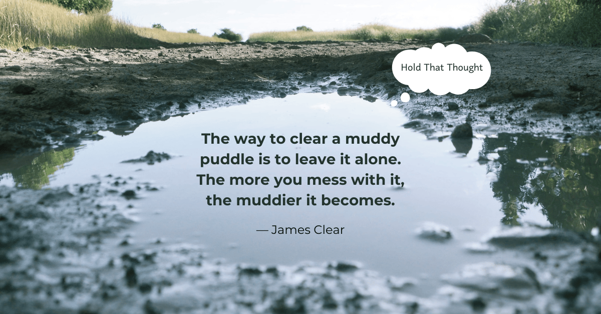 A close up view of a muddy puddle with a steep perspective toward a clear sky. A James Clear quote about muddy puddles is in the middle.