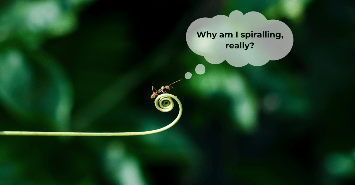 Ant on a climber plant with thought bubble "Why am I spiralling, really?"